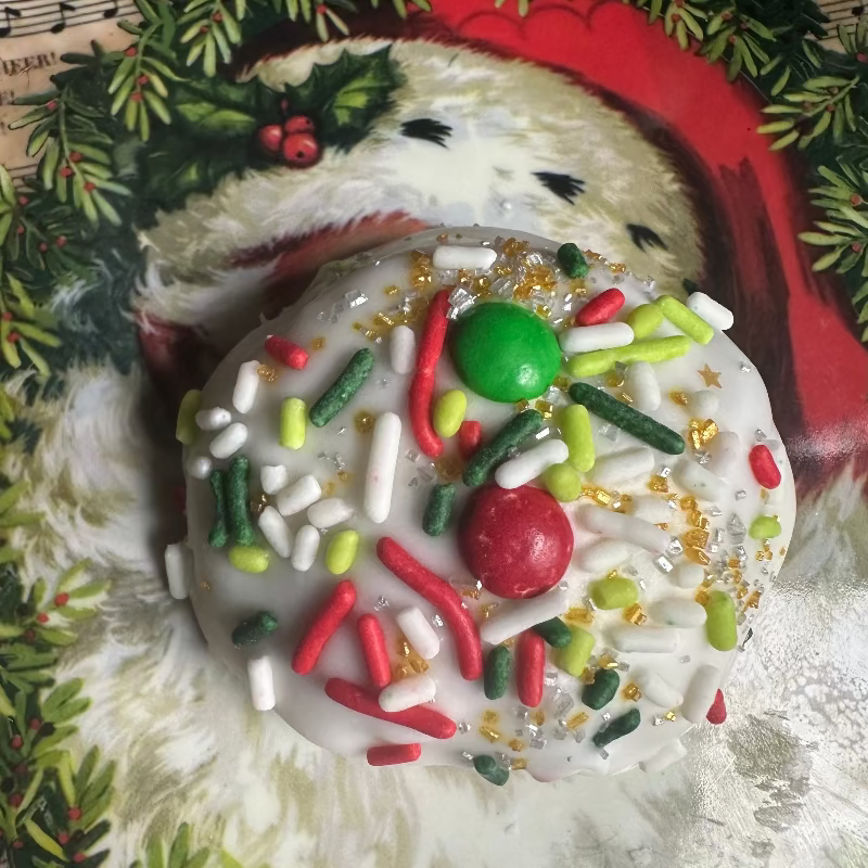 Jolly Junkyard - 6 pack